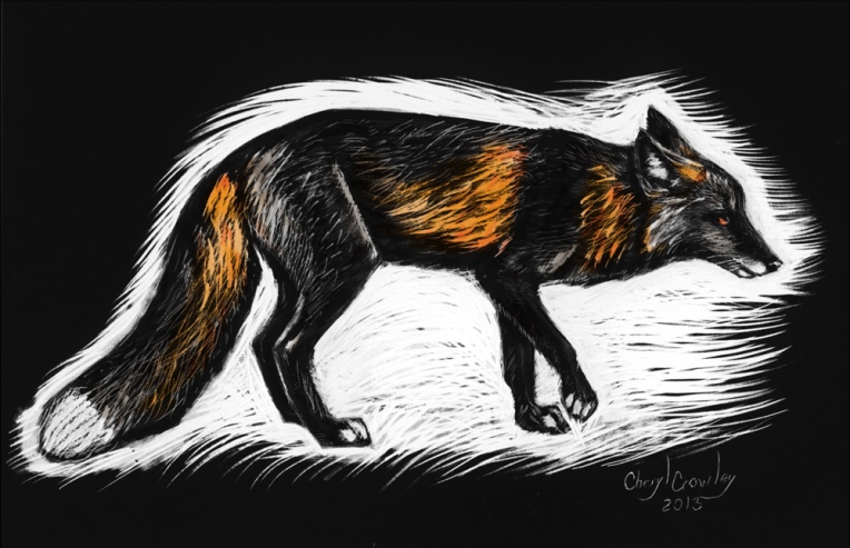 colored cross fox